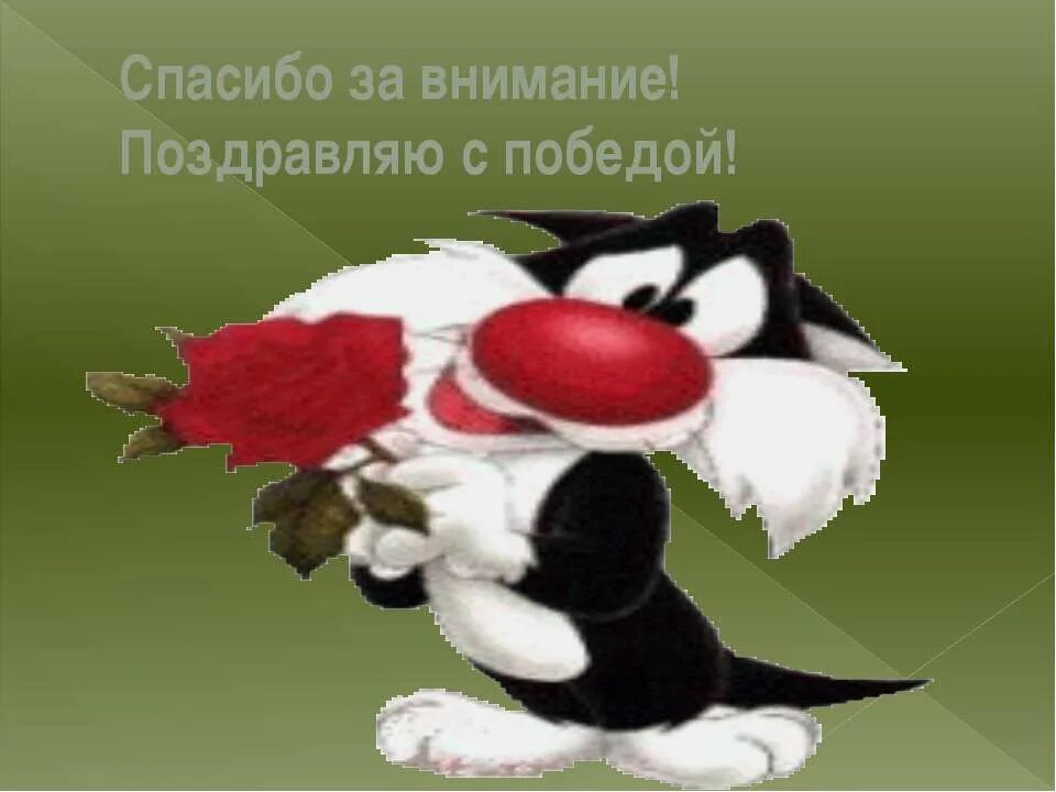 Пожелание внимания