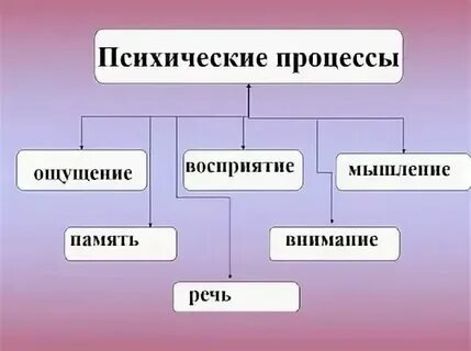 К интеллектуальным состояниям относятся