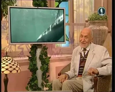 Передача в мире животных