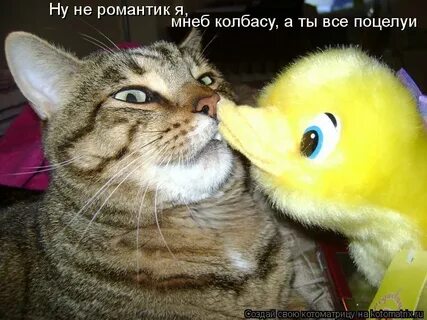 Как не быть романтиком