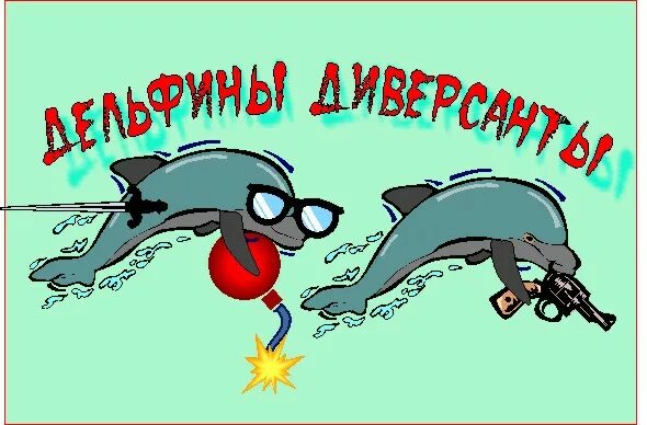 Дельфины террористы. Дельфины диверсанты. Боевые дельфины. Дельфины спецназ. Дельфин диверсант.
