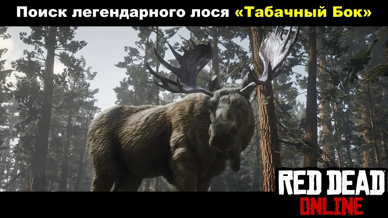 Лоси рдр2