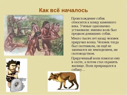 Более чем лет назад