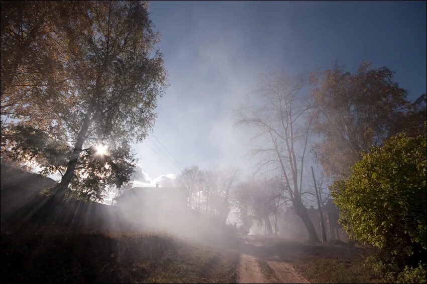 листья жгут слова