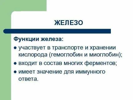 Какова функция железы