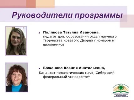 Программа директора дополнительного образования