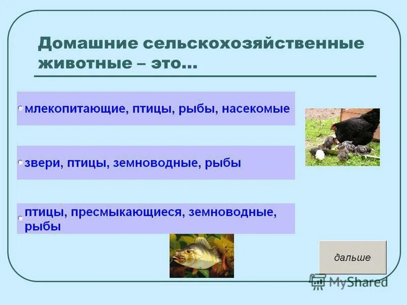 тест животноводство 3 класс. вопросы по теме животноводство. загадки про животноводство. окружающий мир 3 класс тема животноводство тест. животноводство 3 класс окружающий мир.