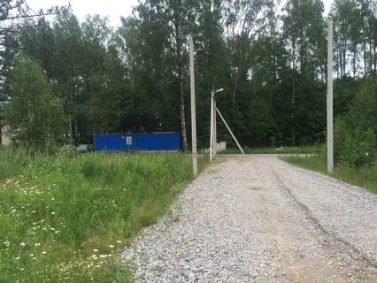 Погода в керро ленинградская