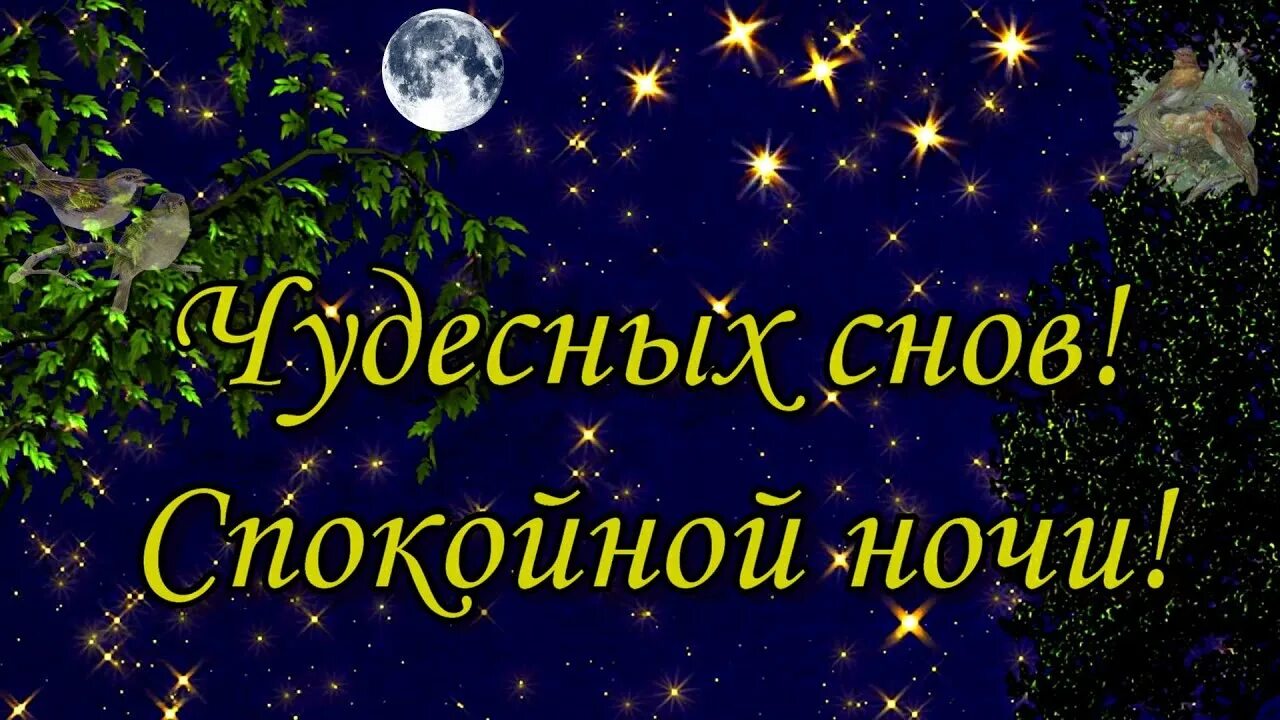 Спокойной ночи картинки новые 2024. Открытки спокойной ночи. Доброй ночи картинки. Чудесных снов. Красивых снов.