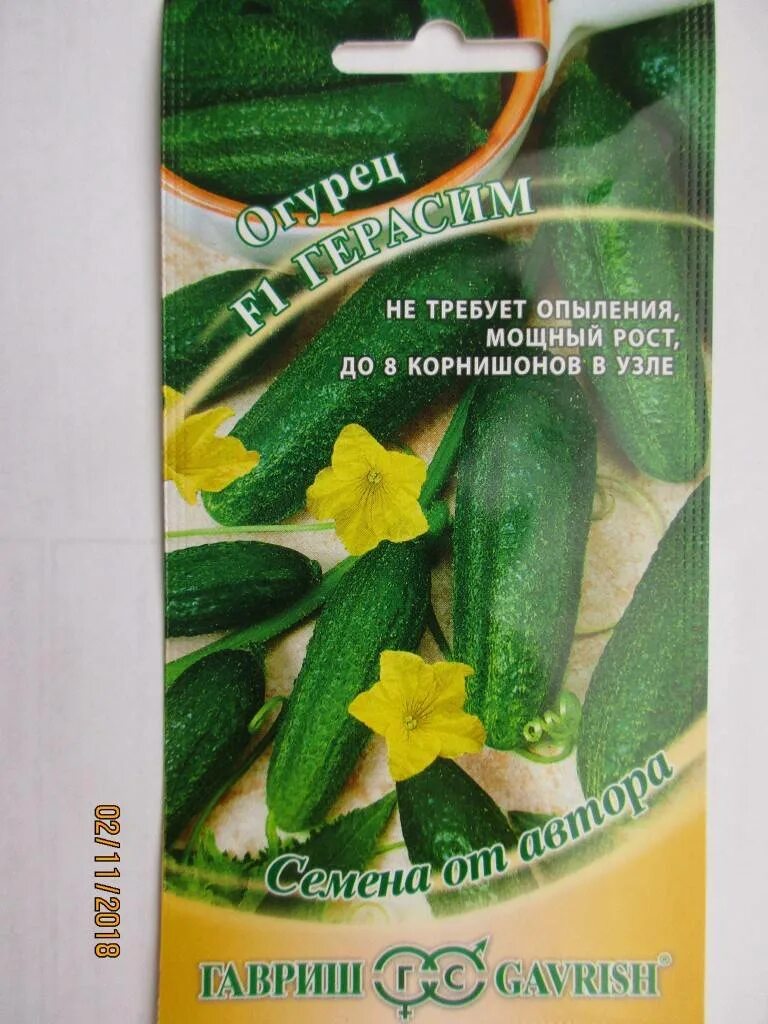 Семена Огурец Герасим F1, корниш, сам.оп, пуч, 1+1, 20 шт. купить по цене 162 Ру