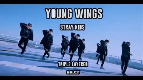 Stray kids everywhere all around