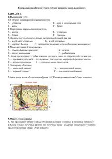 Контрольная по биологии мочевыделительная система и кожа
