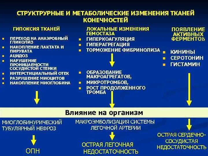 Умеренные метаболические изменения. Метаболические изменения в очаге ишемии. Изменение метаболизма мозга при гипоксии. Изменения в тканях при ишемии.