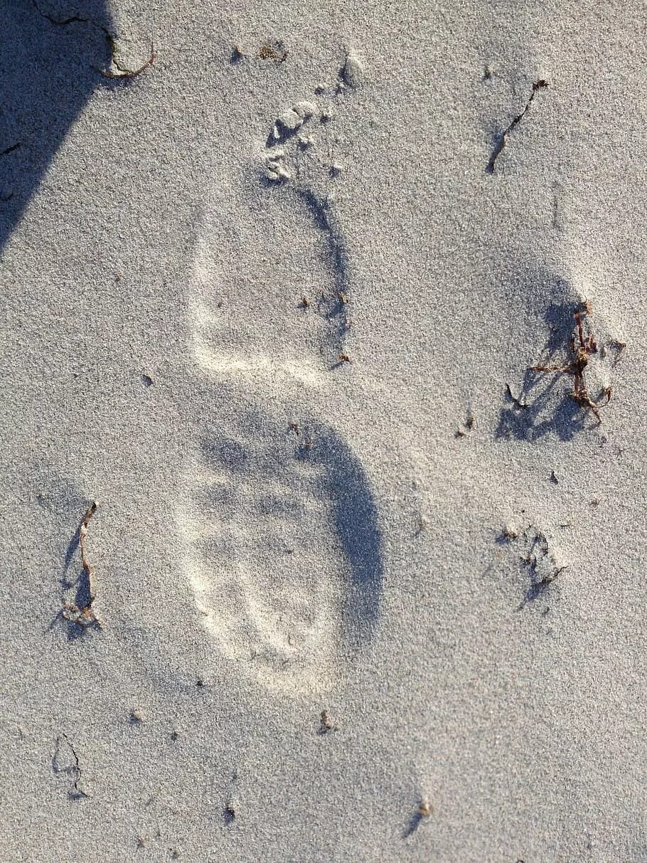 След мужчины. Фотоснимок дорожки следов обуви криминалистика. Следы обуви на песке. Объемные следы. Следы ног на песке.