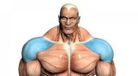 Get huge