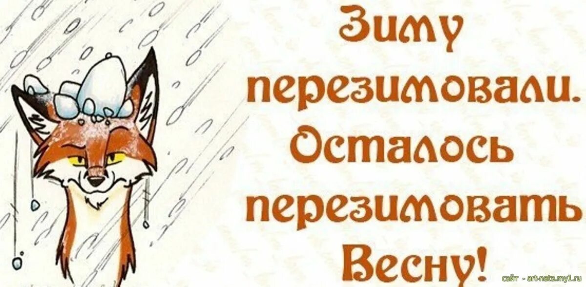 Весну перезимовали. Весну перезимовали. Надоела зима. Пережившим три месяца зимы четвертый в подарок. Коты ждут весну.