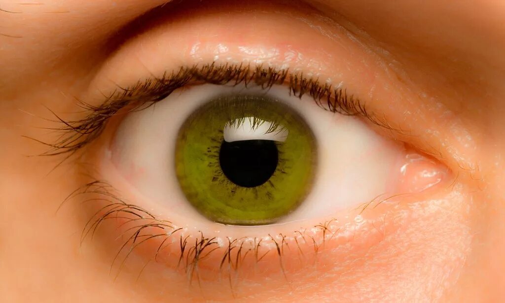 Здоровые глазки. Здоровые глаза. Здоровый глаз человека. Глаз человека. Здоровый цвет глаз.