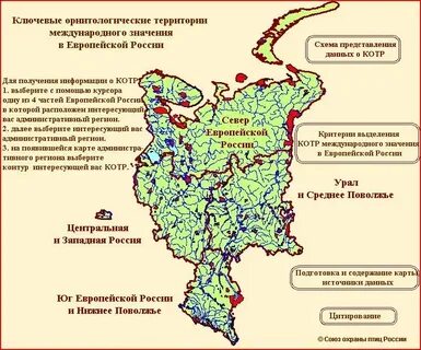Поволжье центр северо запад