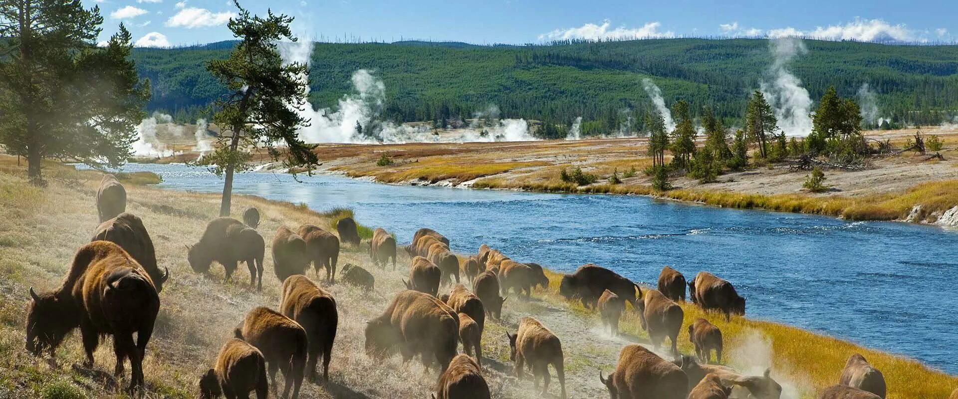 Национальный парк Йеллоустоун США. Монтана штат Yellowstone Park.. Штат Монтана Йеллоустоун. Национальный парк Еллоу Стоун.