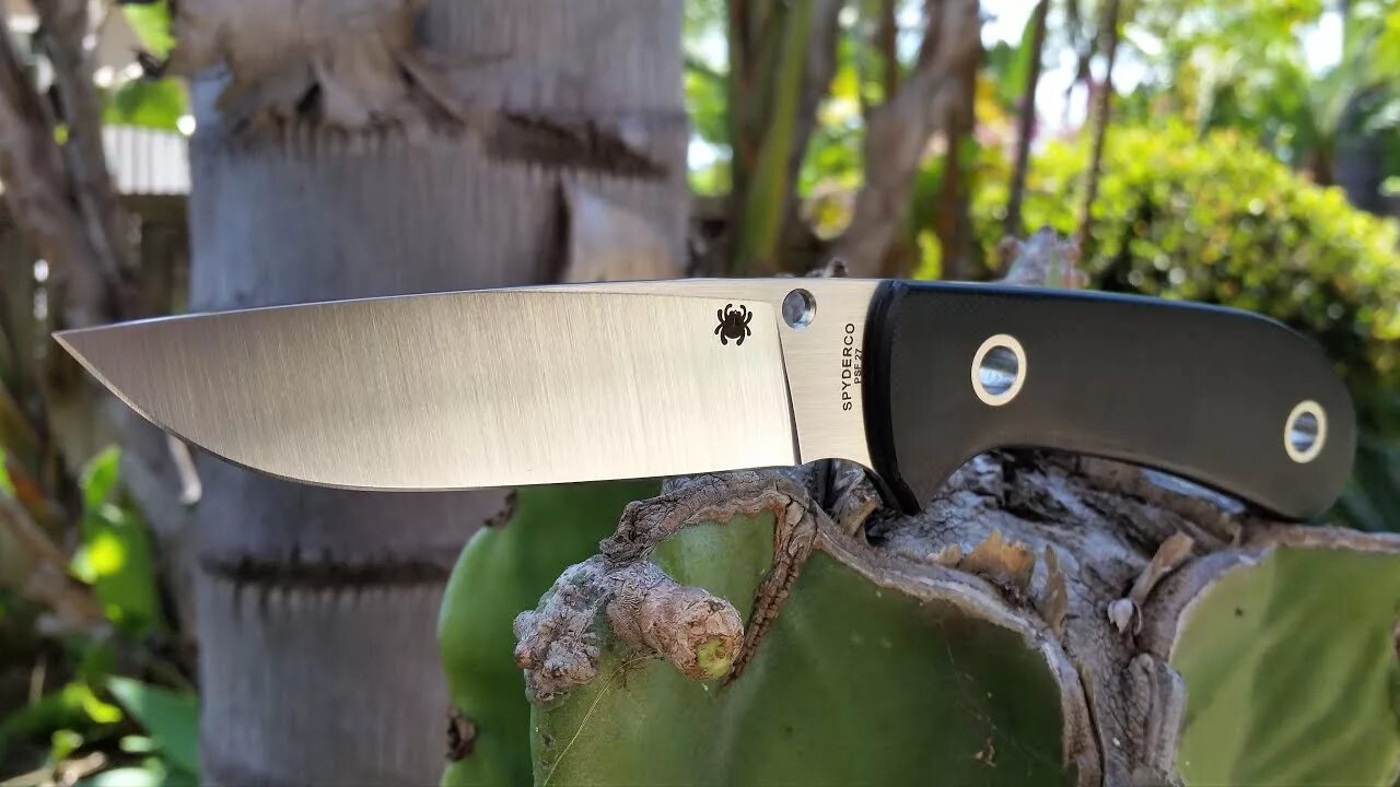 Нож Spyderco Bow River. Spyderco Bradley. Spyderco Bradley 2. Спайдерко фикс. Ножевой видео