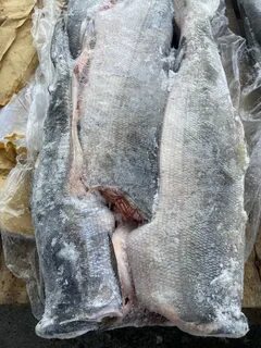 Кета рыба мороженная