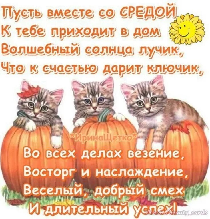 Пусть окружение. Поздравления со средой в картинках прикольные. Пожелания на среду в картинках. Поздравление со средой. Поздравления с днём среды.