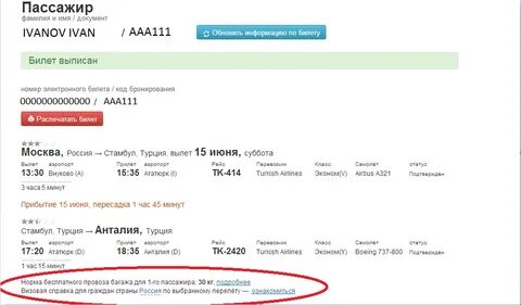 Что такое багаж 1 км