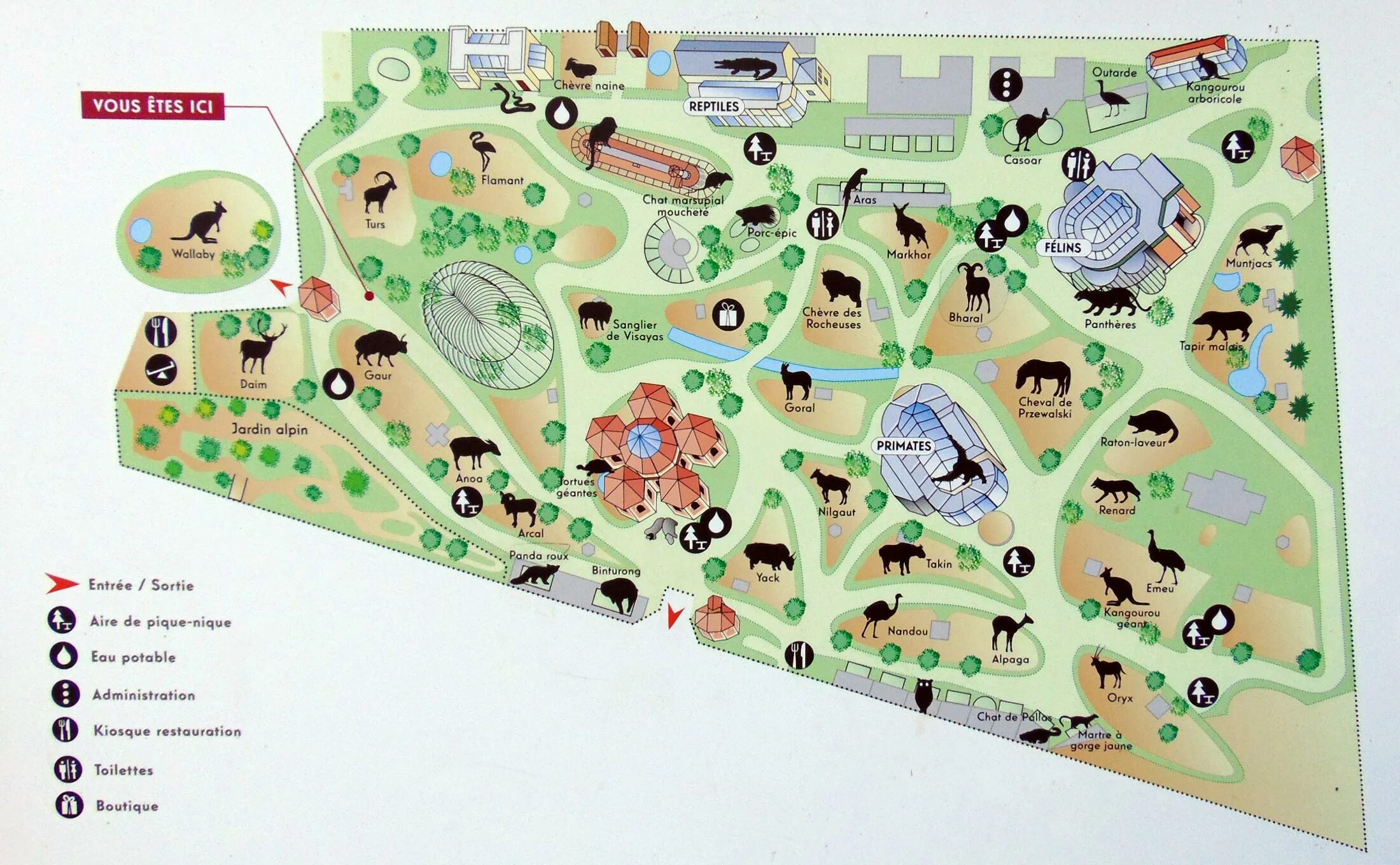 План карта зоопарка Новосибирска. Новосибирский зоопарк карта схема. Зоопарк ботанического сада в Париже. Карта зоопарка Ростов. Отделы зоопарка