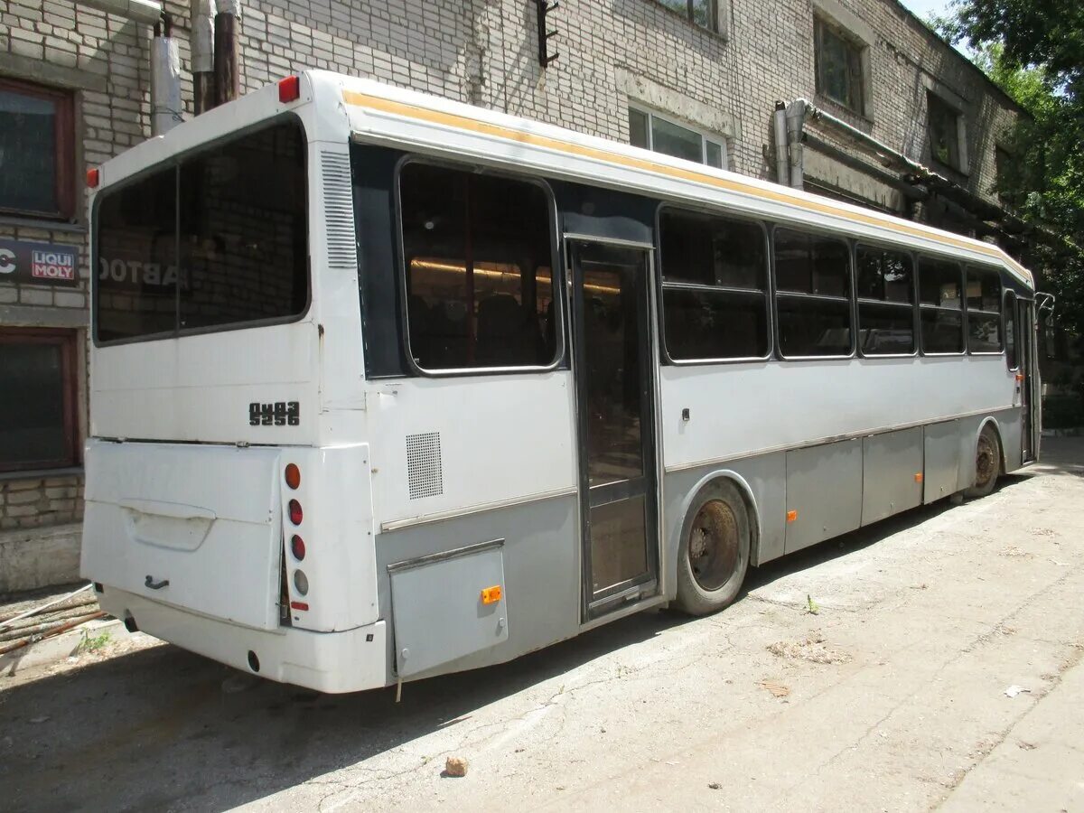 Продам автобус. Автобус маз 203068. Автобус мерседес 303. Продаются автобусы. Kia granbird автобус.