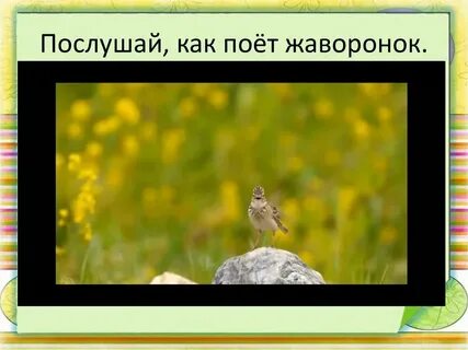 Весной поет жаворонок и подснежник пробуравливает землю