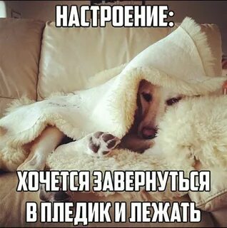 Mood meme