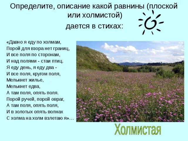 Описание холмов. Стихи про равнины. Стихотворение про русскую равнину. Стихи о русской равнине. Описание равнины.