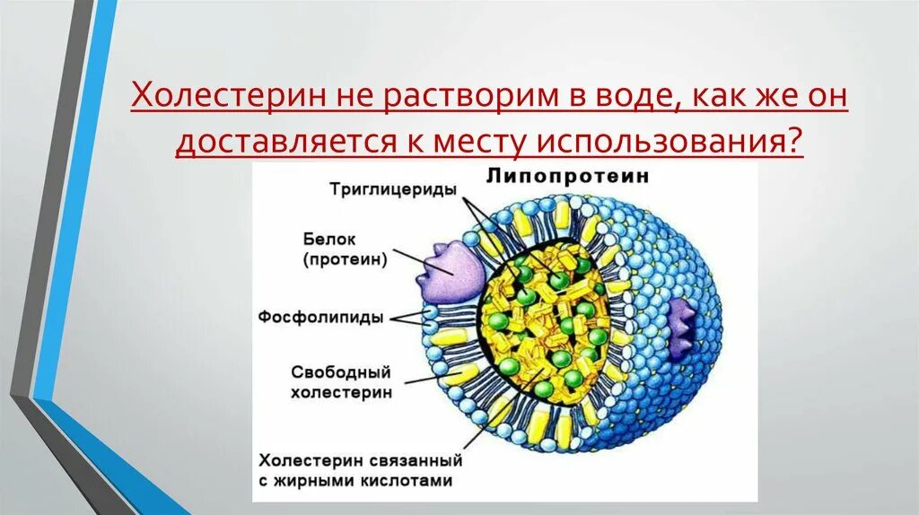 Растворимость холестерина. Холестерин нерастворим в воде. Холестерин Свободный и связанный. Холестерин и Продолжительность жизни.