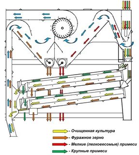 Очистка зерна букв
