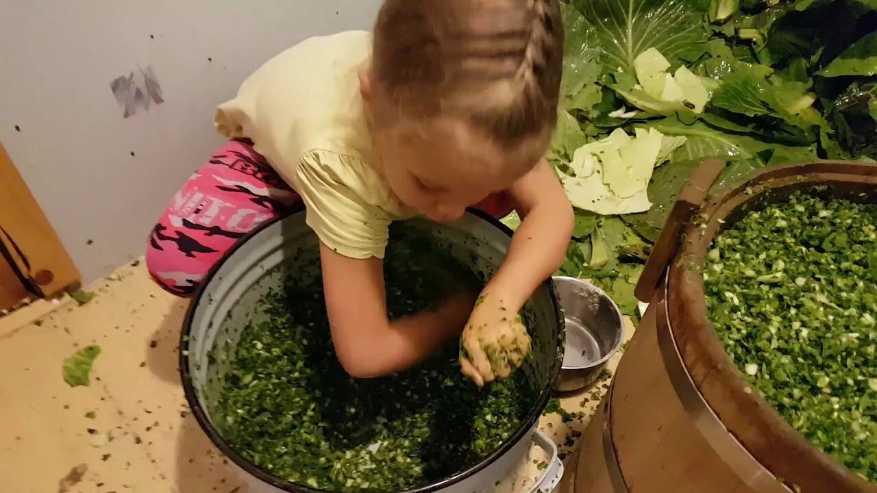 Капуста на зиму зеленые листья. Серая капуста крошево. крошево из капусты. серое крошево. крошево из зеленых листьев.