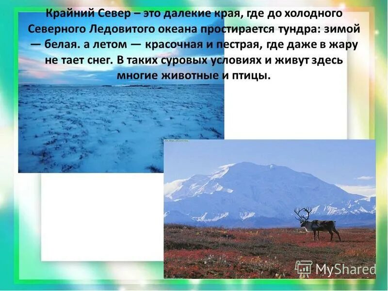 В каком направлении простирается тундра. Летом в тундре тает снег. Тундра простирается. Температура на крайнем севере.