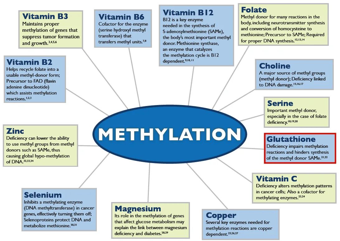 Vitamins for Diabetes. B12 methyl Folate. Such the same тест. Methyl Gene Vit b12. Same such