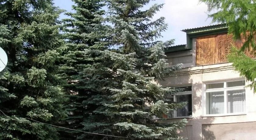 База отдыха Голубые ели - Олха, Иркутская область, фото базы отдыха, цены, отзыв