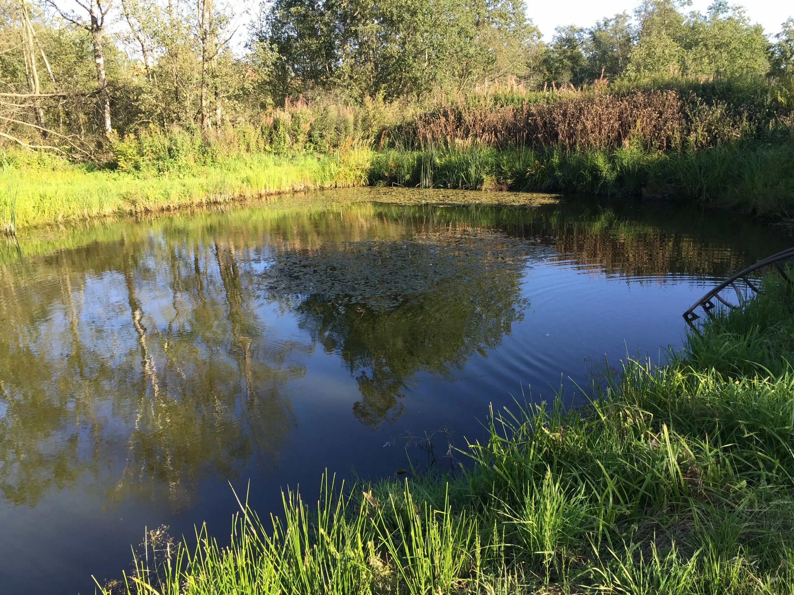 Продам пруд. Продам пруд. Озеро садаковское киров. Продам пруд. Садаковский пруд.