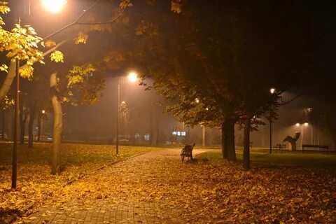 Парк ночью осень