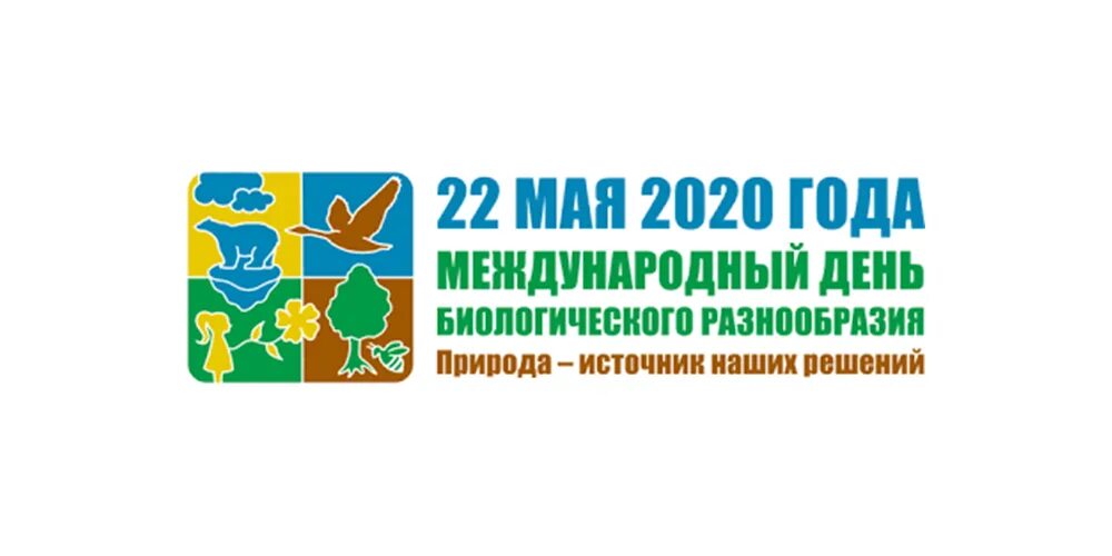Международный день биологического разнообразия 22 мая сообщение. Международный день биологического разнообразия. международный день биологического разнообразия 2025. 22 мая день день биологического разнообразия. день биоразнообразия 2025.