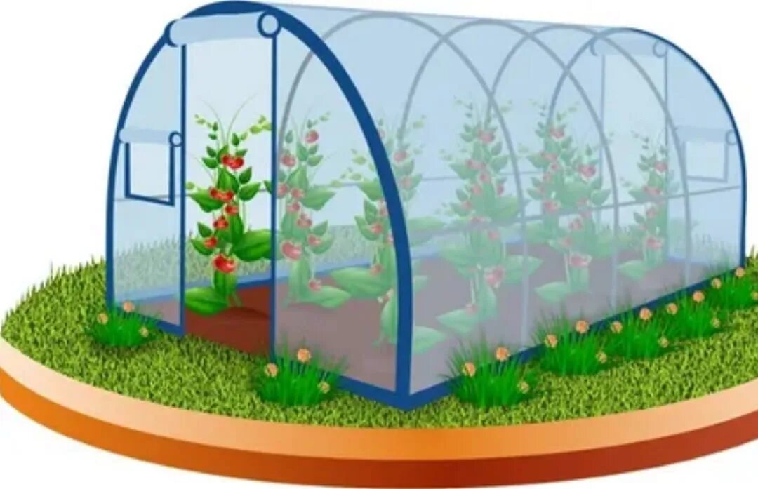 Теплицы горно алтайск. Парник Greenhouse т312 3 м. Теплица 3х4 м пленка 135г/м2 big Walkin Greenhouse. Теплица для детей. Теплица фон.