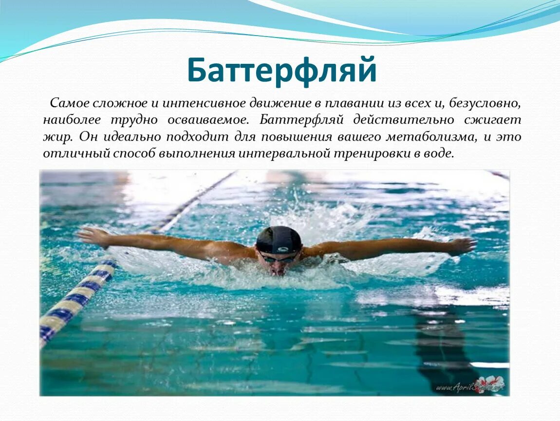 Значение слова плавание из 2 предложения. Баттерфляй плавание. способ плавания баттерфляй. баттерфляй плавание презентация. стили плавания презентация.