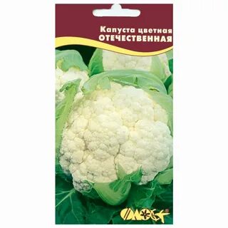 Сорт капусты абени