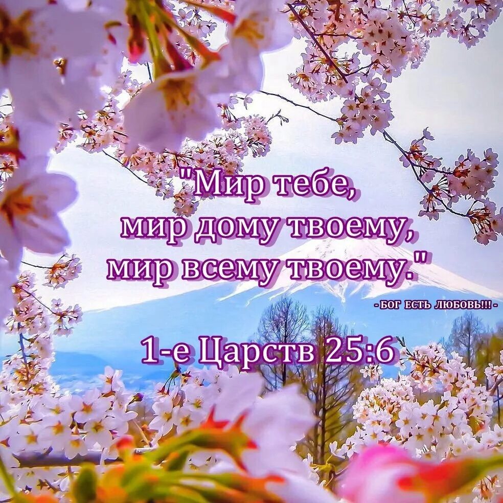 Открытки с пожеланиями. Пожелания добра и благополучия. Счастья тебе и твоей семье. Христианские пожелания с добрым утром весенние. Здоровья вам и вашей семье.