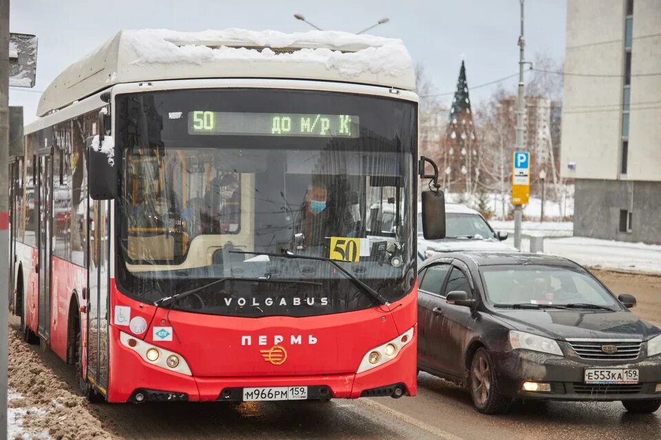 Проезд в перми детям. Проезд в перми детям