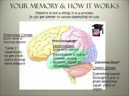 How to improve memory