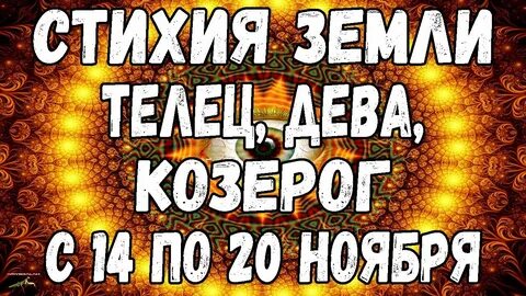 14 ноября телец