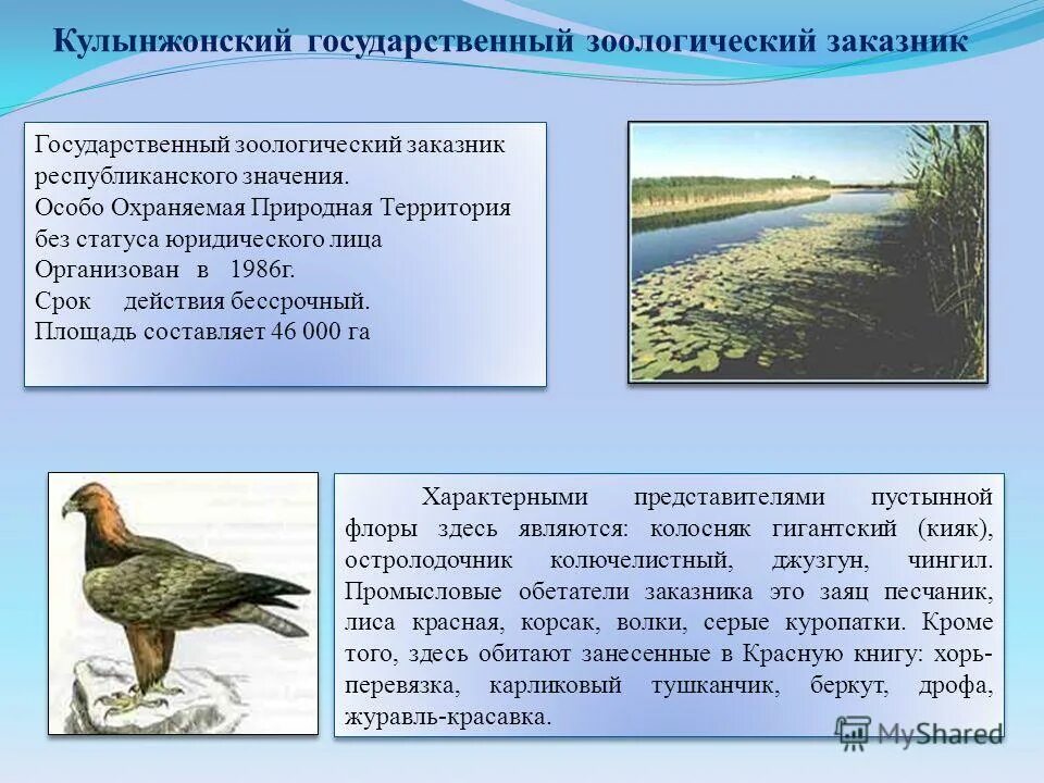 ремдовский заповедник псковской области. государственные природные зоологические заказники. природный зоологический заказник «ремдовский». лабинский заказник краснодарского. зоологический заказник александровский.