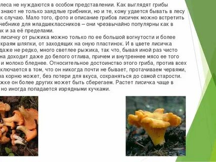 Рассказ про лисички 2 класс